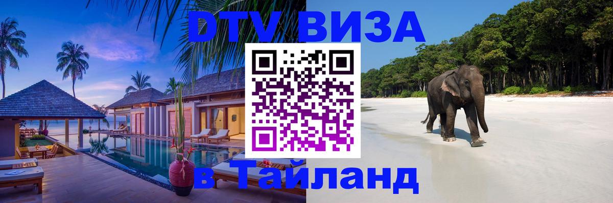 Оформление DTV визы под ключ: стоимость и тарифы, только загранпаспорт - 19.11.2025 